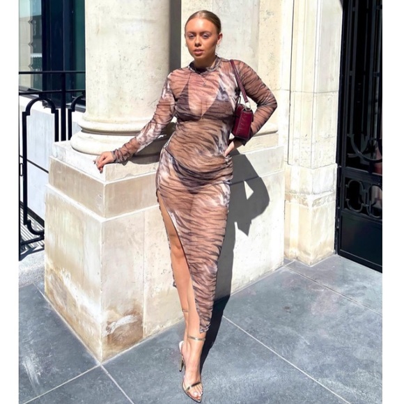 Femme Luxe | Dresses | Mesh Dress | Poshmark